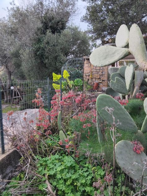 monolocale in affitto a San Teodoro(SS) in zona La Cinta