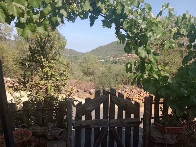 appartamento in affitto a San Teodoro(SS) in zona San Teodoro centro