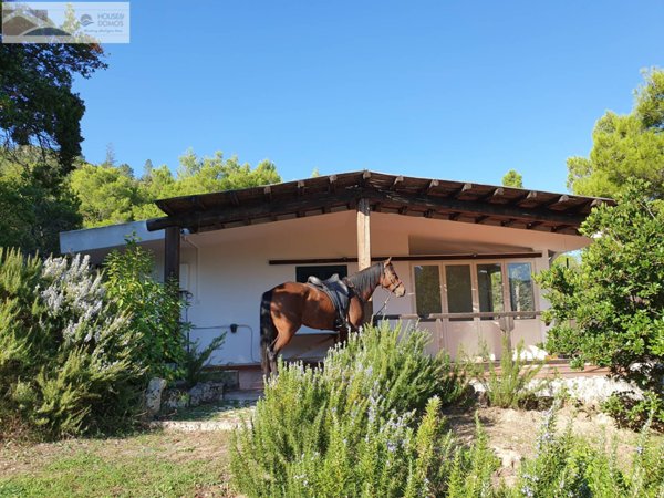 appartamento in affitto a Dorgali in zona Cala Gonone