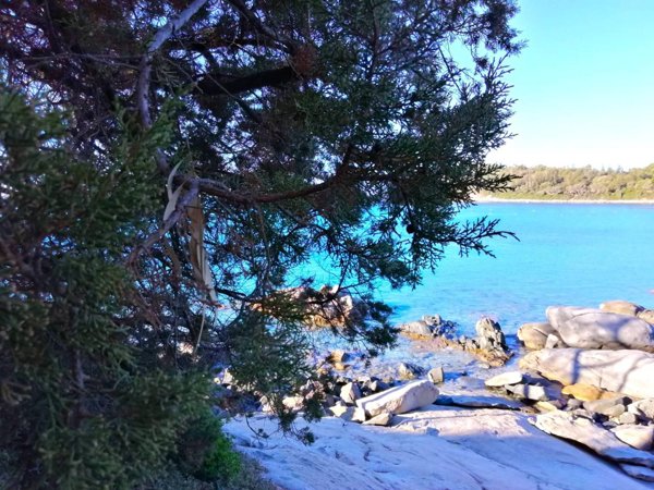 appartamento in affitto a Tortolì in zona Porto Frailis