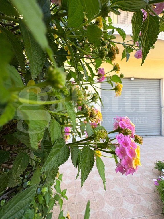 appartamento in affitto a Cagliari in zona Monte Mixi