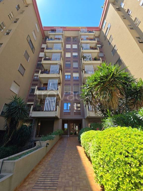 appartamento in affitto a Cagliari