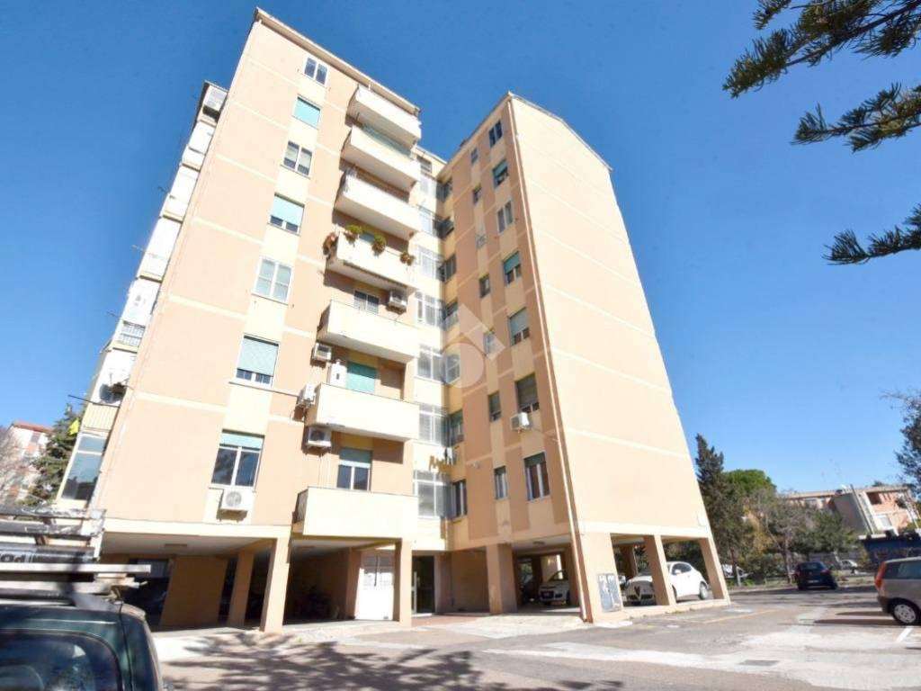 appartamento in affitto a Cagliari in zona Is Mirrionis/San Michele