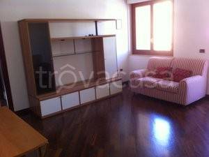 appartamento in affitto a Cagliari in zona Monte Urpinu
