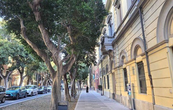 appartamento in affitto a Cagliari in zona Stampace/Punici