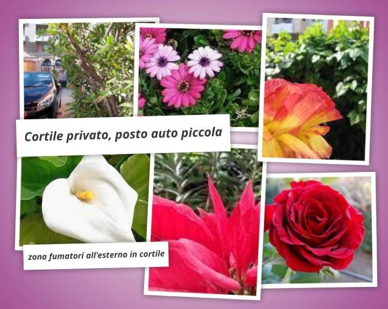 camera singola in affitto a Cagliari in zona Monte Urpinu