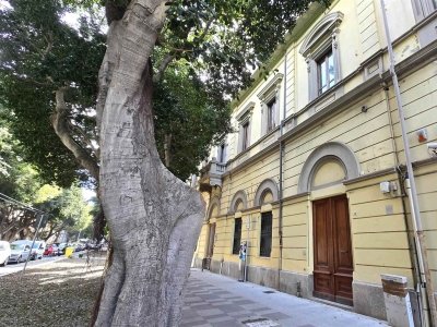 negozio in affitto a Cagliari in zona Stampace/Punici