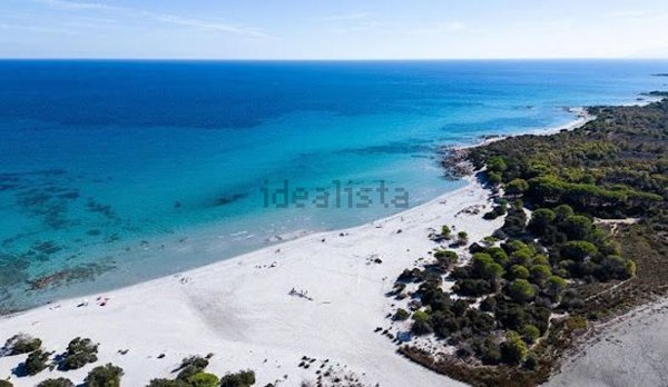 appartamento in affitto a Cagliari