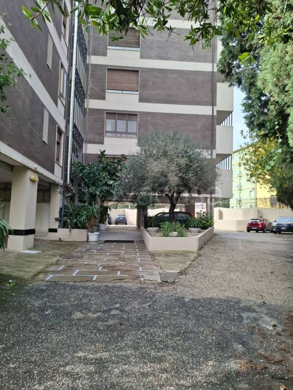 appartamento in affitto a Cagliari
