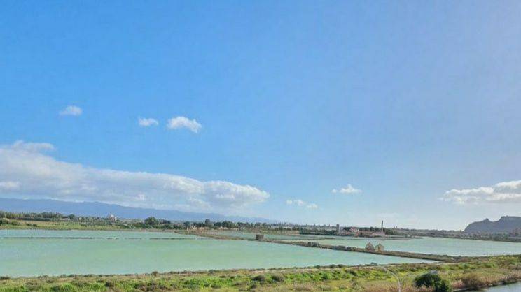 appartamento in affitto a Cagliari in zona Bonaria