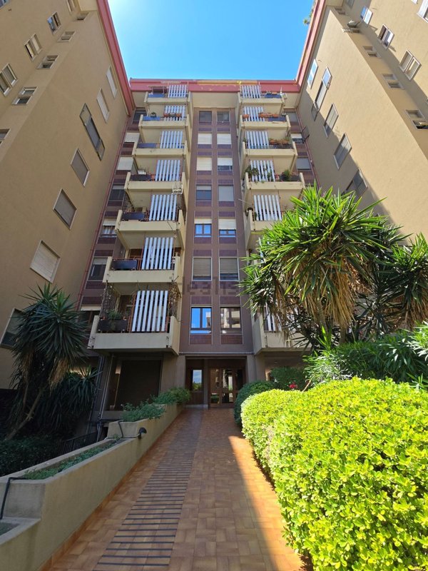 appartamento in affitto a Cagliari in zona Genneruxi