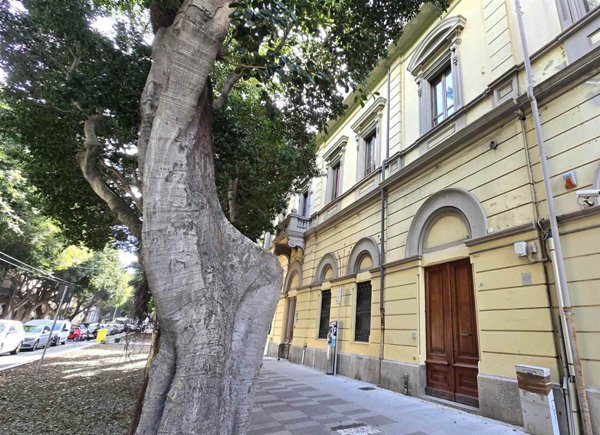 negozio in affitto a Cagliari in zona Stampace/Punici