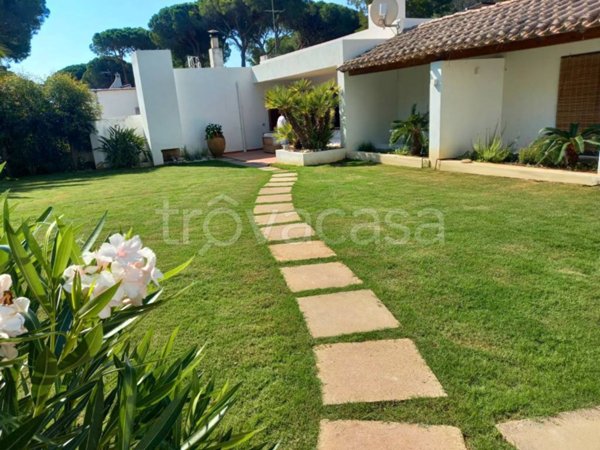 casa indipendente in affitto a Pula
