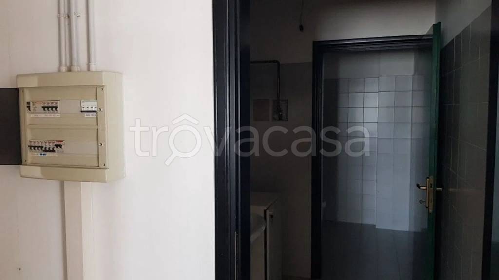 quadrivano in affitto a Casarsa della Delizia