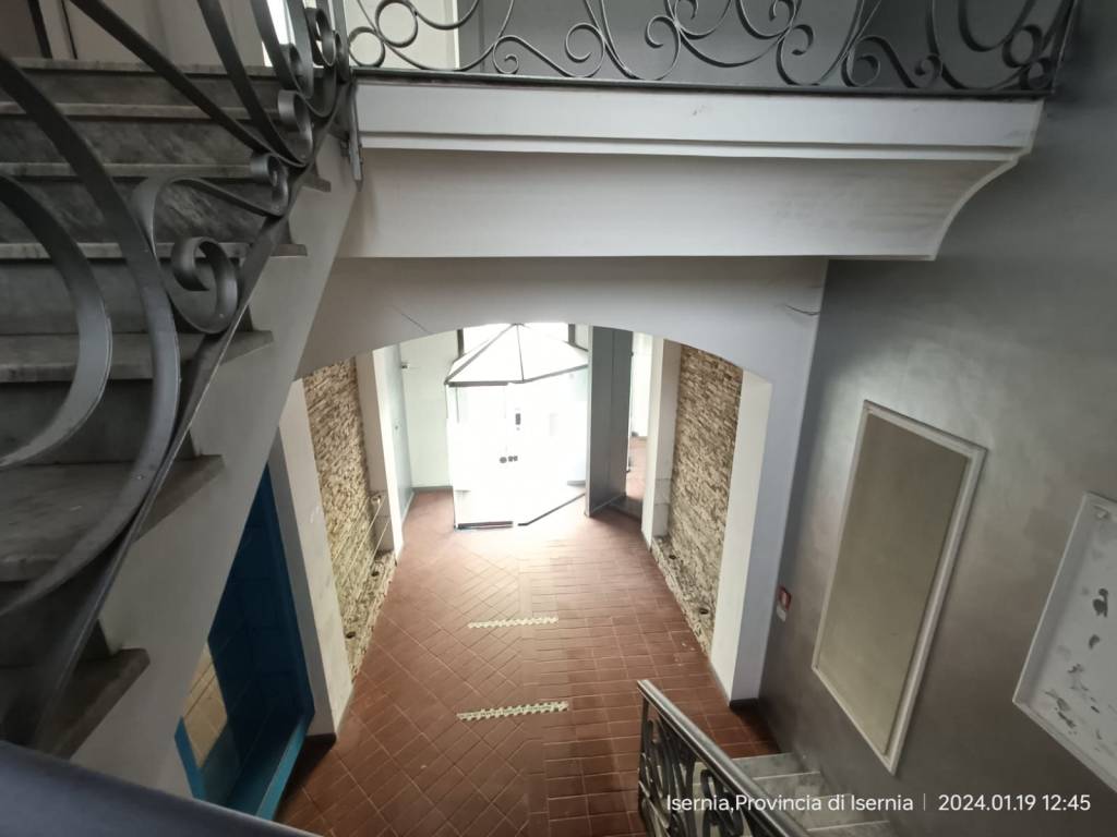 quadrivano in affitto ad Isernia