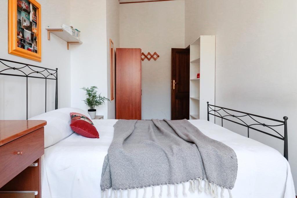 appartamento in affitto ad Isernia