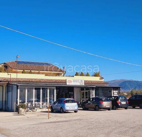 negozio in affitto ad Isernia