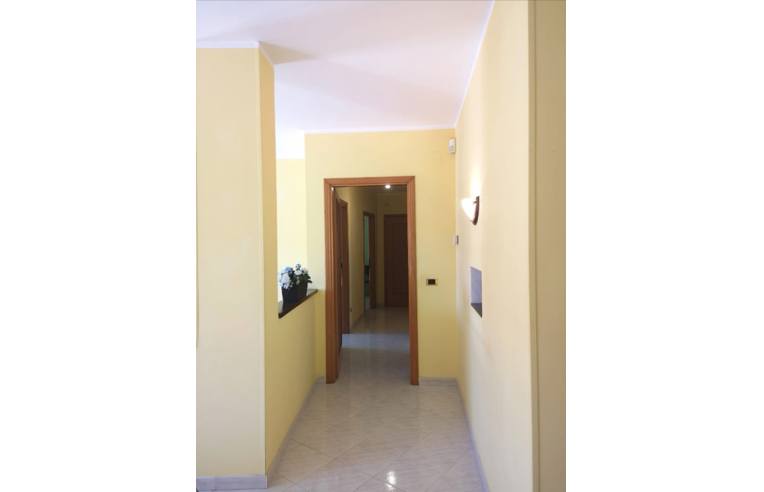 appartamento in affitto a Venafro