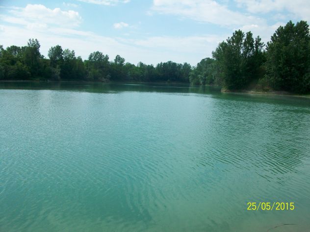negozio in affitto a Biella