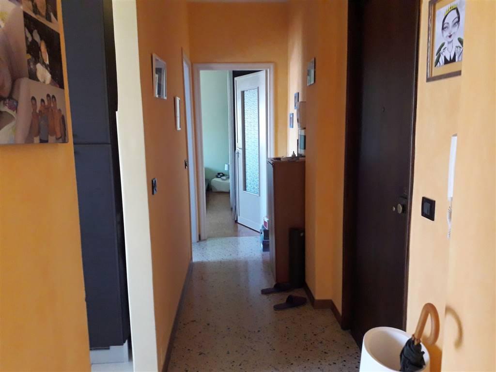 appartamento in affitto a Biella