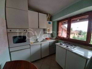 appartamento in affitto a Biella in zona Vandorno