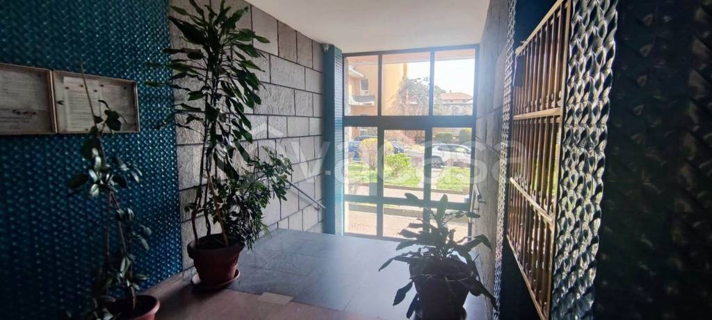 appartamento in affitto a Biella