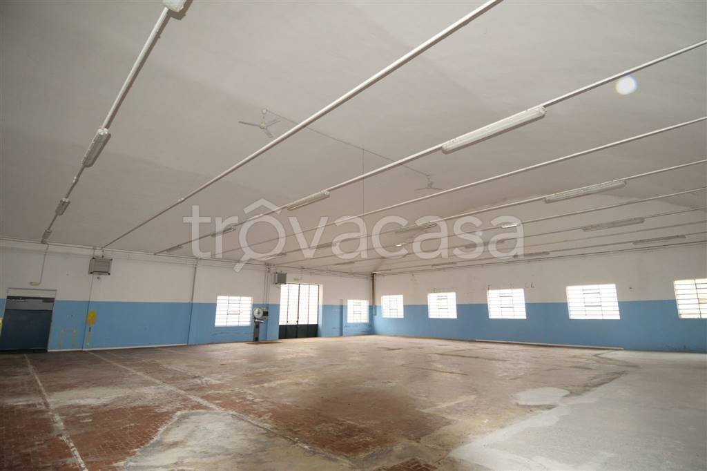 monolocale in affitto a Cossato