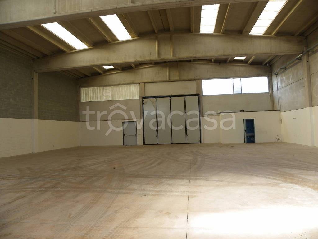 appartamento in affitto a Ponderano