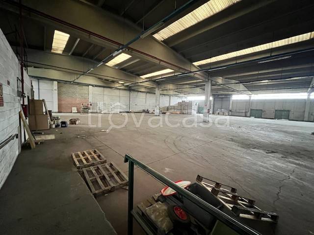 locale commerciale in affitto ad Alessandria in zona Il Cristo