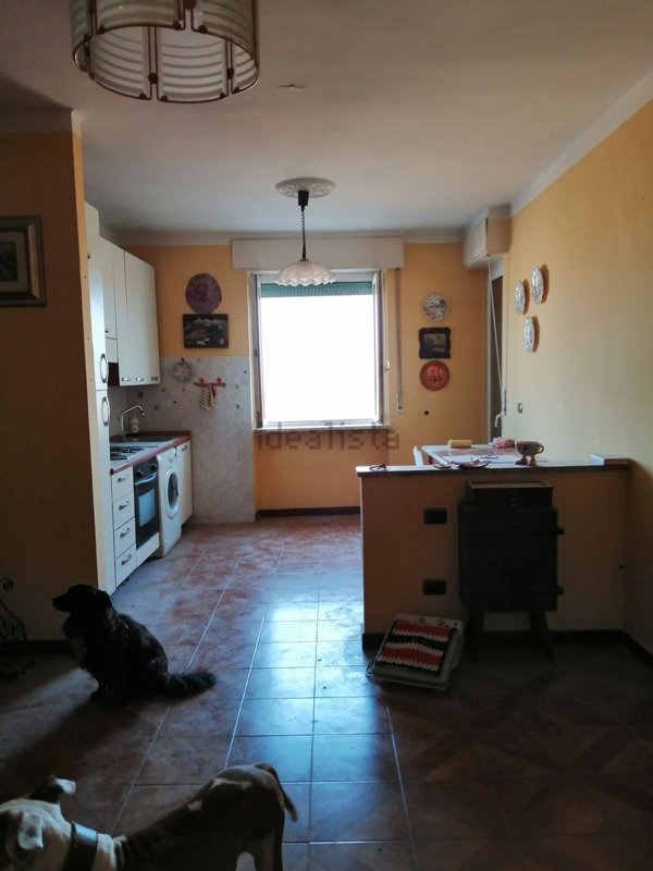 appartamento in affitto ad Alessandria in zona Borgo Rovereto