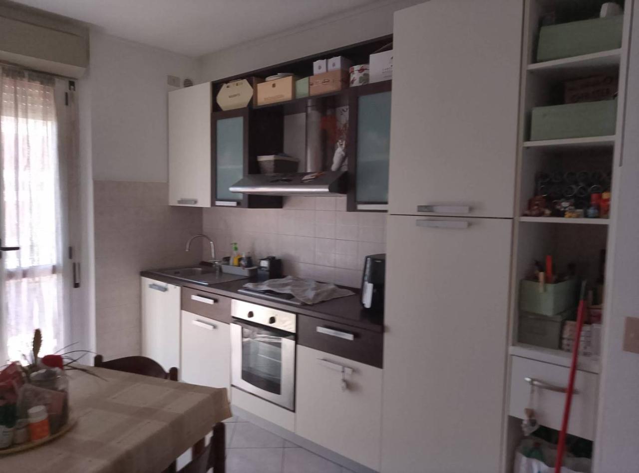 appartamento in affitto ad Alessandria in zona Centro Città