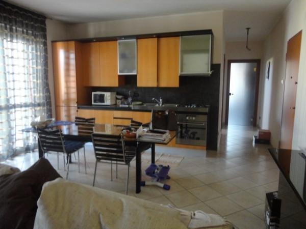 appartamento in affitto ad Alessandria