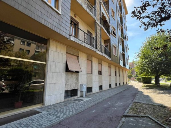 appartamento in affitto ad Alessandria in zona zona Pista