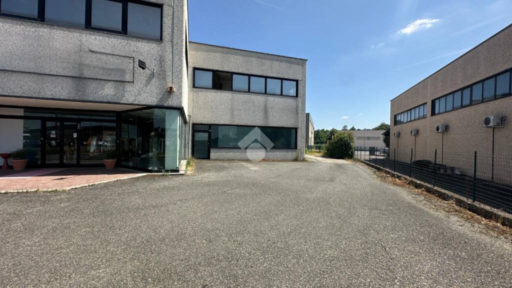 negozio in affitto a Basaluzzo