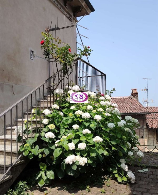 appartamento in affitto a Camagna Monferrato