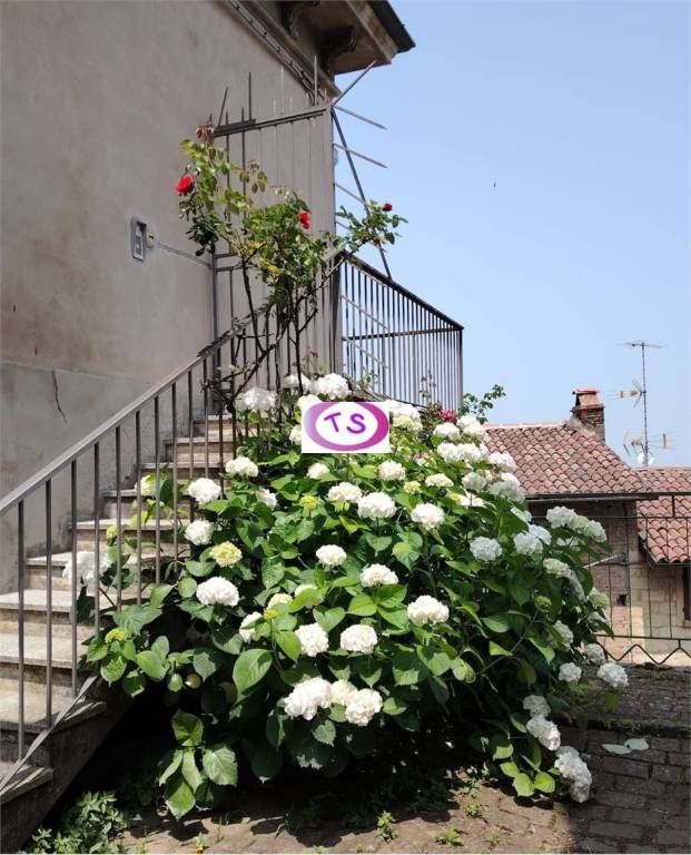 appartamento in affitto a Camagna Monferrato