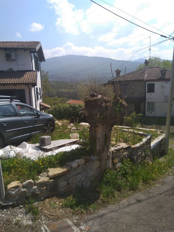 casa indipendente in affitto a Cantalupo Ligure