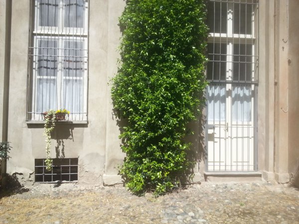 appartamento in affitto a Casale Monferrato in zona Casale Popolo