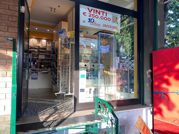 negozio in affitto a Casalnoceto