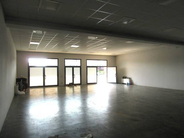 negozio in affitto a Cassine