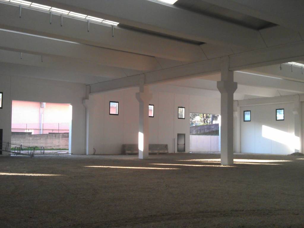 locale commerciale in affitto a Brivio