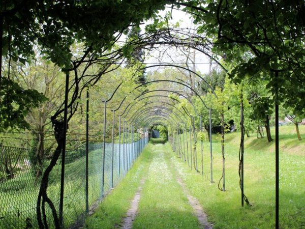 appartamento in affitto a Calco