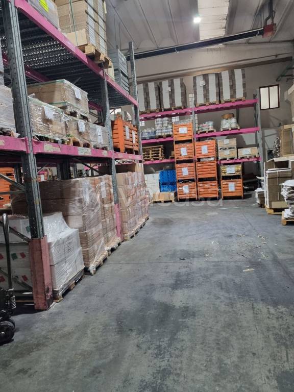 appartamento in affitto a Costa Masnaga