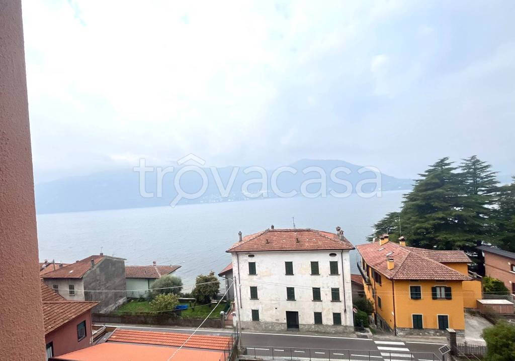 immagine annuncio 0 di 15