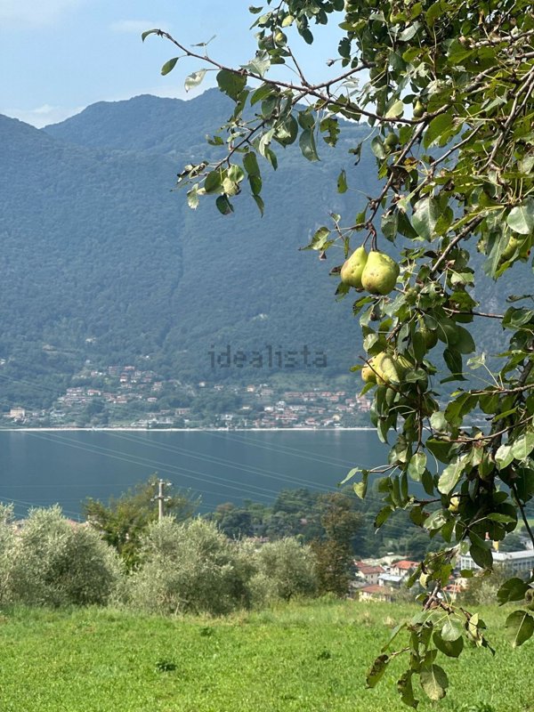 appartamento in affitto a Mandello del Lario in zona Maggiana