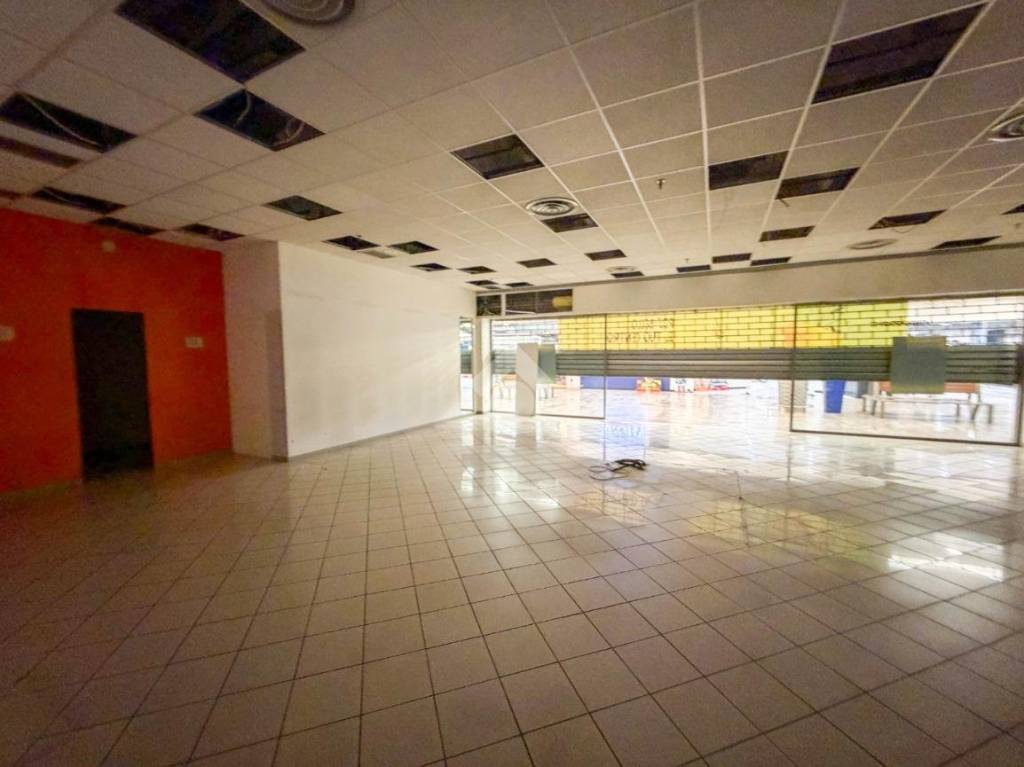 immagine annuncio 0 di 13