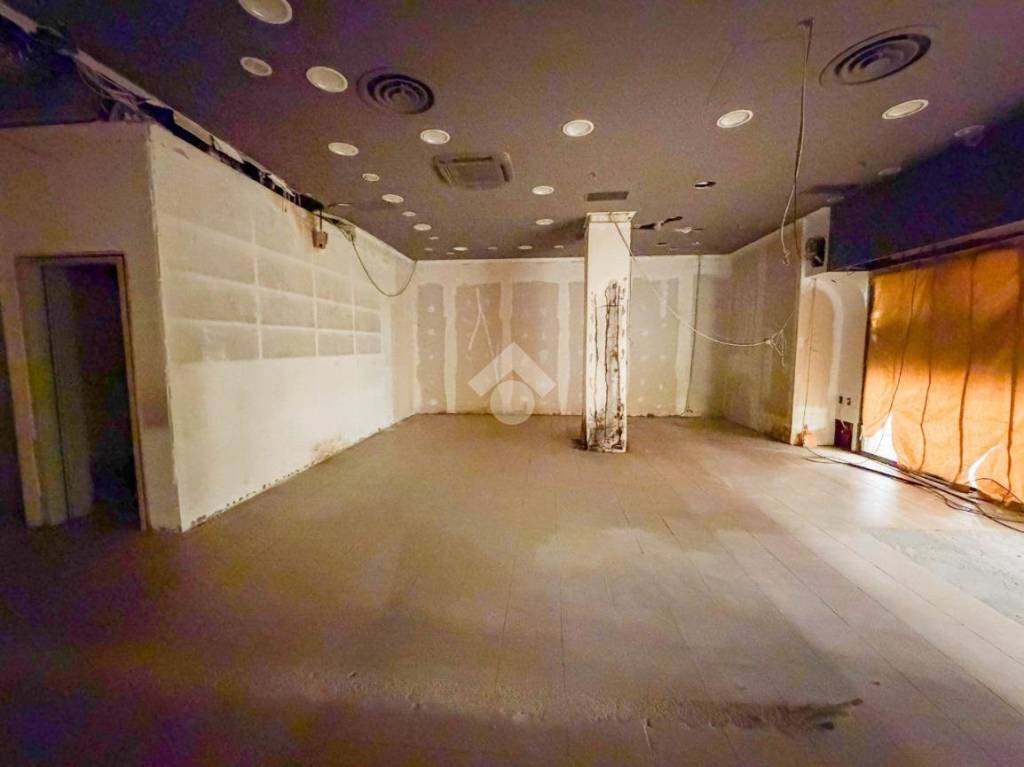 immagine annuncio 0 di 14