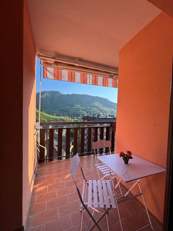 appartamento in affitto a Moggio