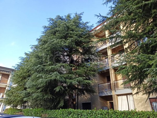 appartamento in affitto a Valmadrera