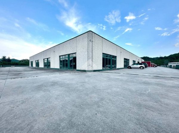 locale commerciale in affitto a Gavi